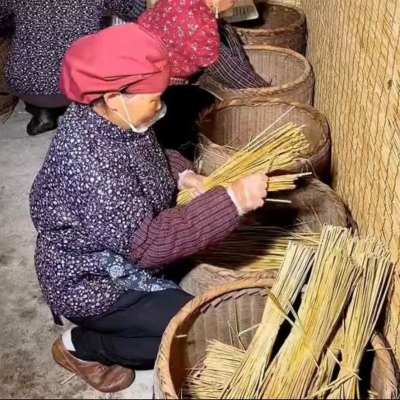 新鲜干稻草霉豆腐稻草杆手工精选稻草续窝草屋顶修复稻草装饰