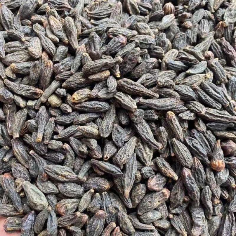西青果新货西青果藏青果中药材干青果橄榄果青果干