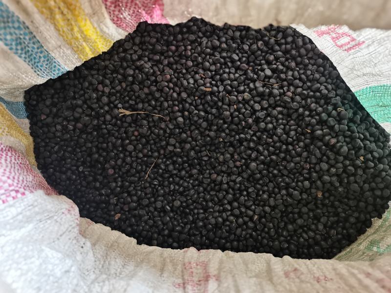 油用牡丹籽，，山东菏泽产地，质量有保障。