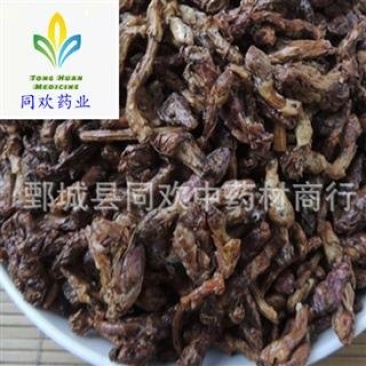 【蜜款冬花】@【同欢药材】中药材批发供应规格齐全