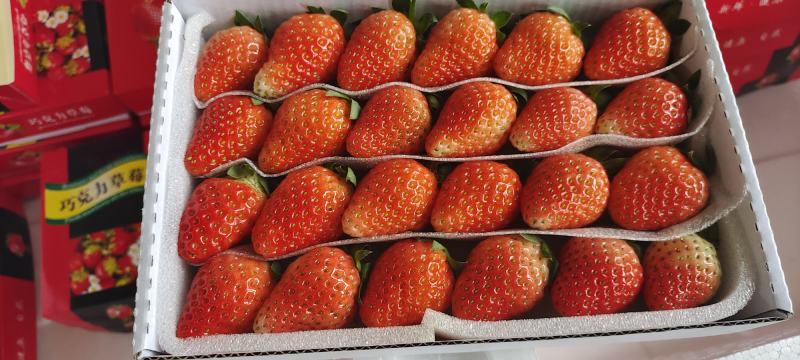 大量45.46规格低价出售