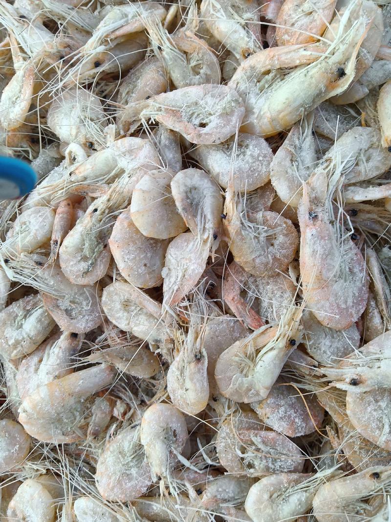 沾化地区一手货源，青虾，也叫白虾，味道和爪虾和红虾有区别