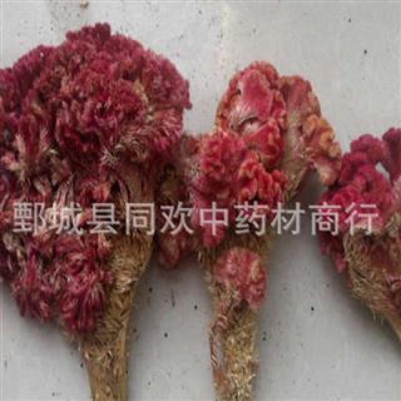 【新货鸡冠花】@【同欢药材】中药材批发供应规格齐全