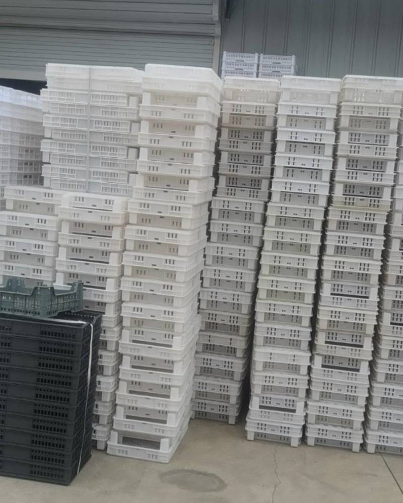 包装筐，厂家直销各种草莓筐，高腿筐，2.4，6，7号筐