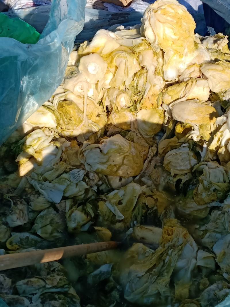 内，蒙，古，通，辽，市，东，北，精品酸，菜