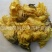 【黄蜀葵花】@【同欢药材】中药材批发供应规格齐全