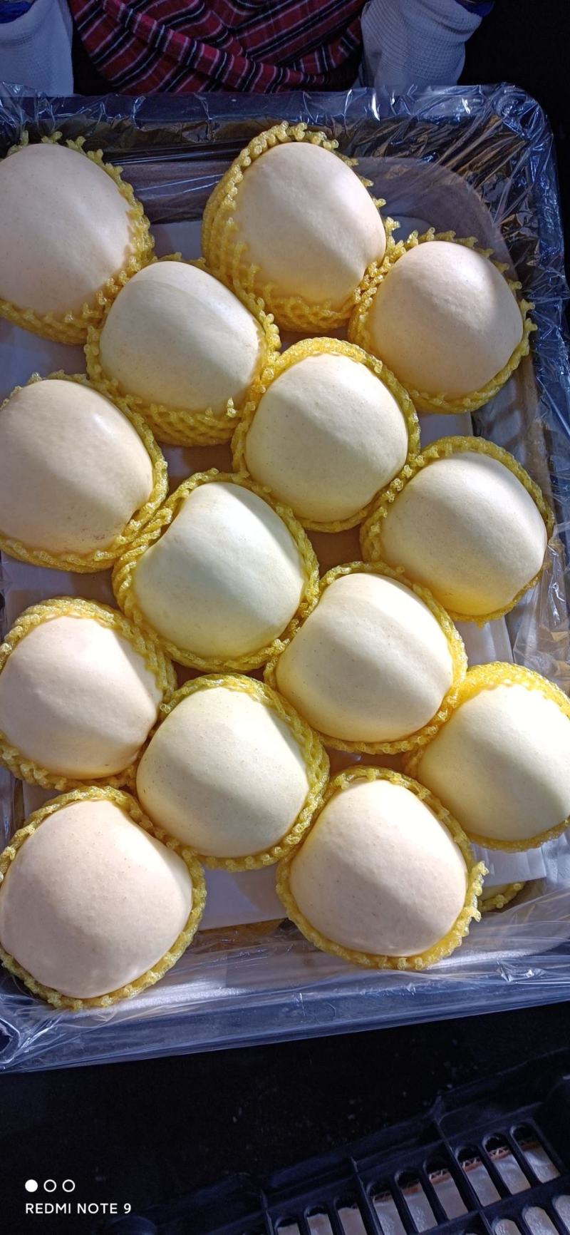 黄金帅！瓦房店市黄元帅。个大毛皮亮口感脆甜