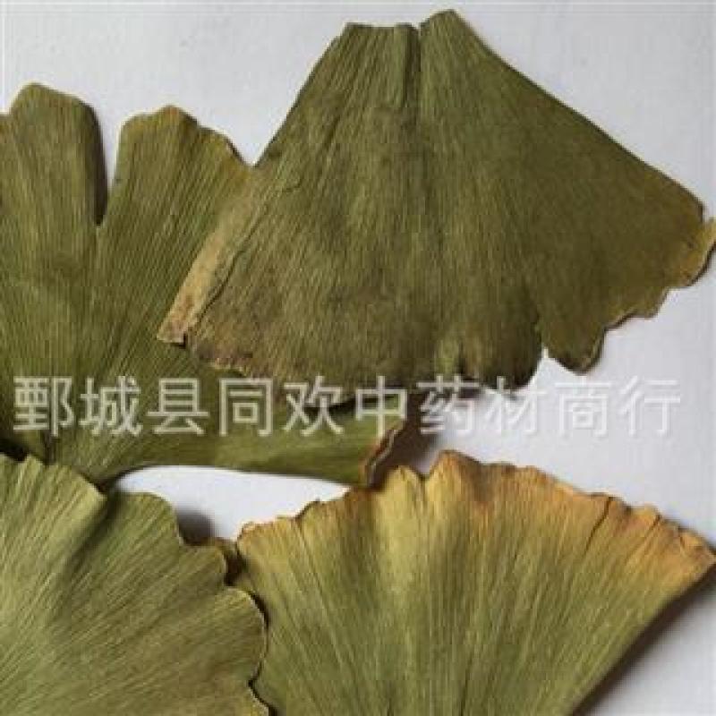 【银杏叶】@【同欢药材】中药材批发供应规格齐全