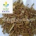 【铁树叶】@【同欢药材】中药材批发供应规格齐全