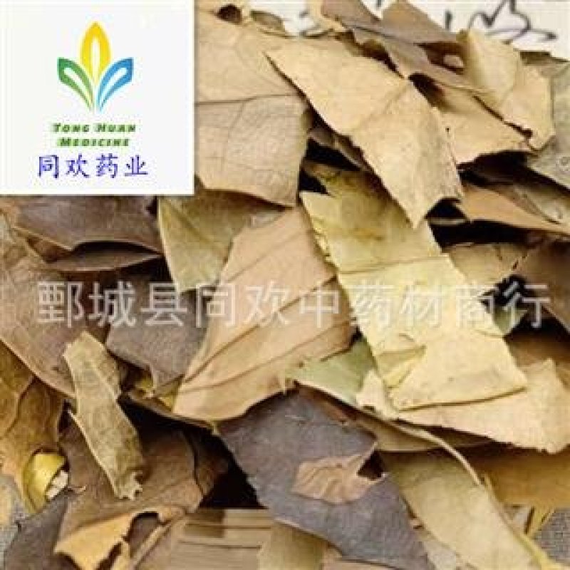 【十大功劳叶】@【同欢药材】中药材批发供应