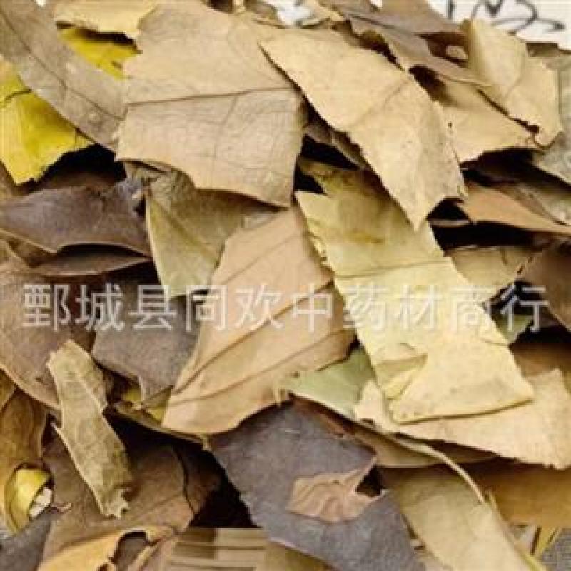 【十大功劳叶】@【同欢药材】中药材批发供应