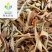 【芦荟茶】@【同欢药材】中药材批发供应规格齐全