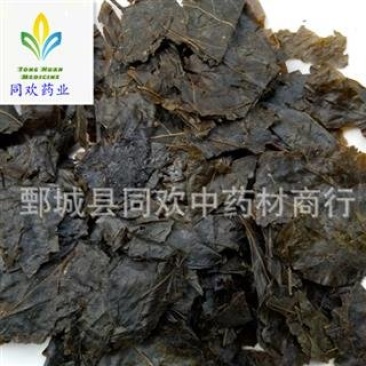 【苦丁茶叶毛冬青叶】@【同欢药材】中药材批发供应