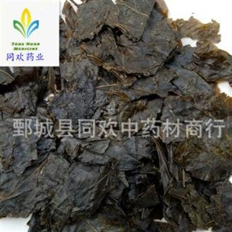 【苦丁茶叶毛冬青叶】@【同欢药材】中药材批发供应
