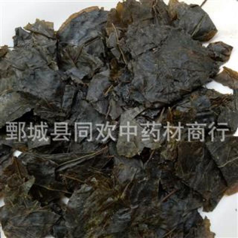 【苦丁茶叶毛冬青叶】@【同欢药材】中药材批发供应