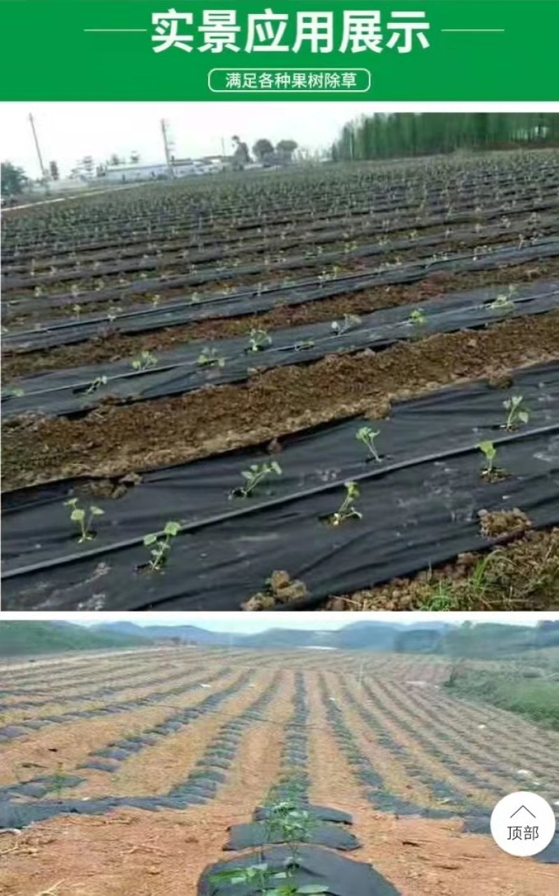 除草布果园果树遮草盖布园艺地布黑色膜农用加厚透气保湿