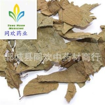 【布渣叶】@【同欢药材】中药材批发供应规格齐全量大从优