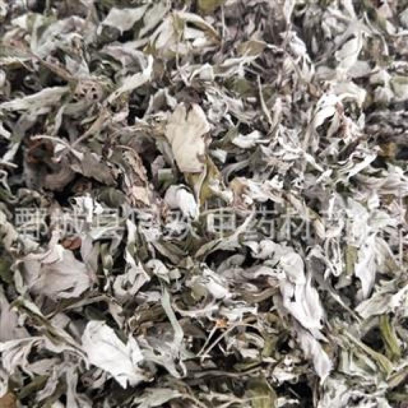 【大艾叶】@【同欢药材】中药材批发供应规格齐全