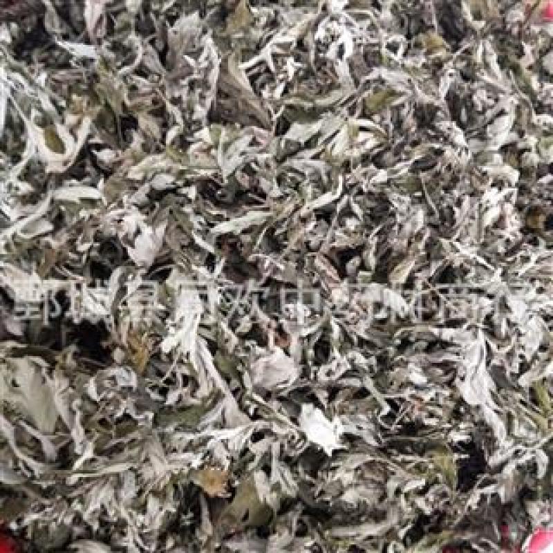 【大艾叶】@【同欢药材】中药材批发供应规格齐全