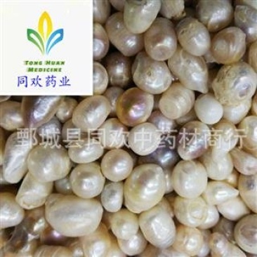 【珍珠个大珍珠】@【同欢药材】中药材批发供应