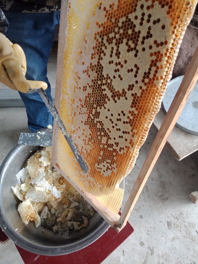 蜂蜜，中华土蜂蜜，枇杷蜜，大量现货，。。。。。。。。。。