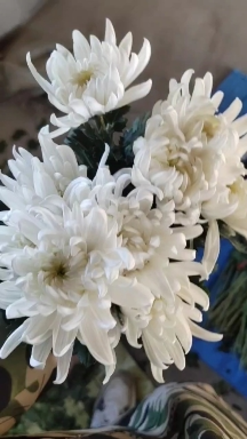 大量精诚