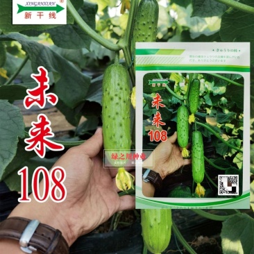 全雌水果黄瓜种子未来108翠绿油亮口感佳耐病毒适合各茬口