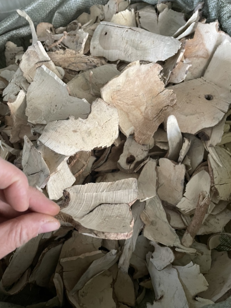 岗梅根天星木根根部阳枝都有货量大包邮