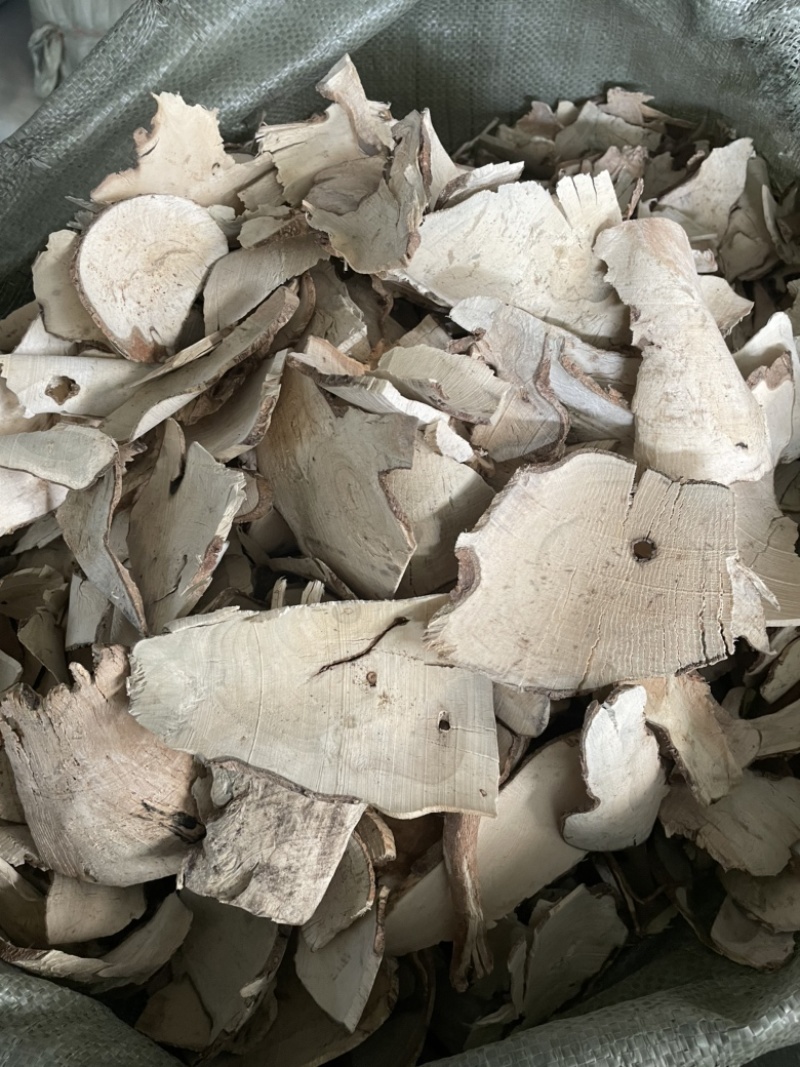 岗梅根天星木根根部阳枝都有货量大包邮