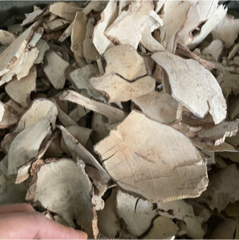 岗梅根天星木根根部阳枝都有货量大包邮