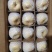 【新年钜惠】山西运城酥梨精品贡梨大量供应品质保证可视频看货