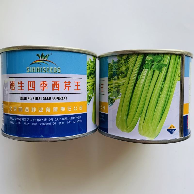 速生四季西芹王种子叶柄黄绿色可做小芹菜栽培抗病西芹芹菜种