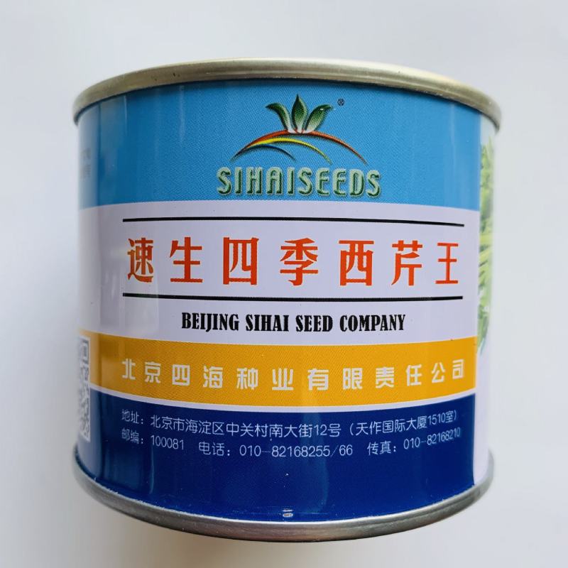 速生四季西芹王种子叶柄黄绿色可做小芹菜栽培抗病西芹芹菜种
