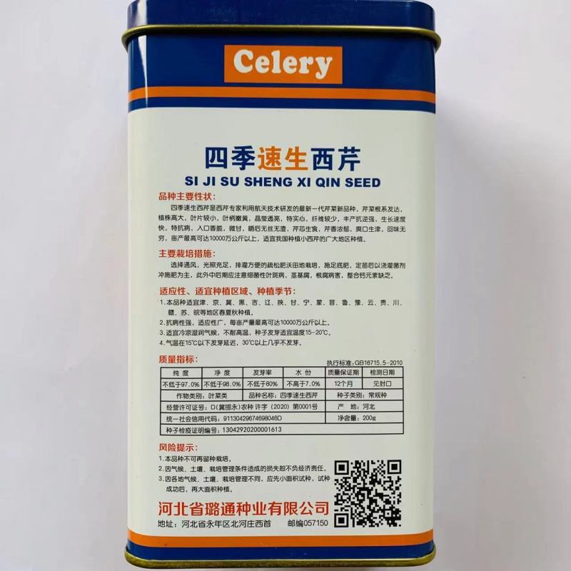 速生四季西芹王种子叶柄黄绿色可做小芹菜栽培抗病西芹芹菜种