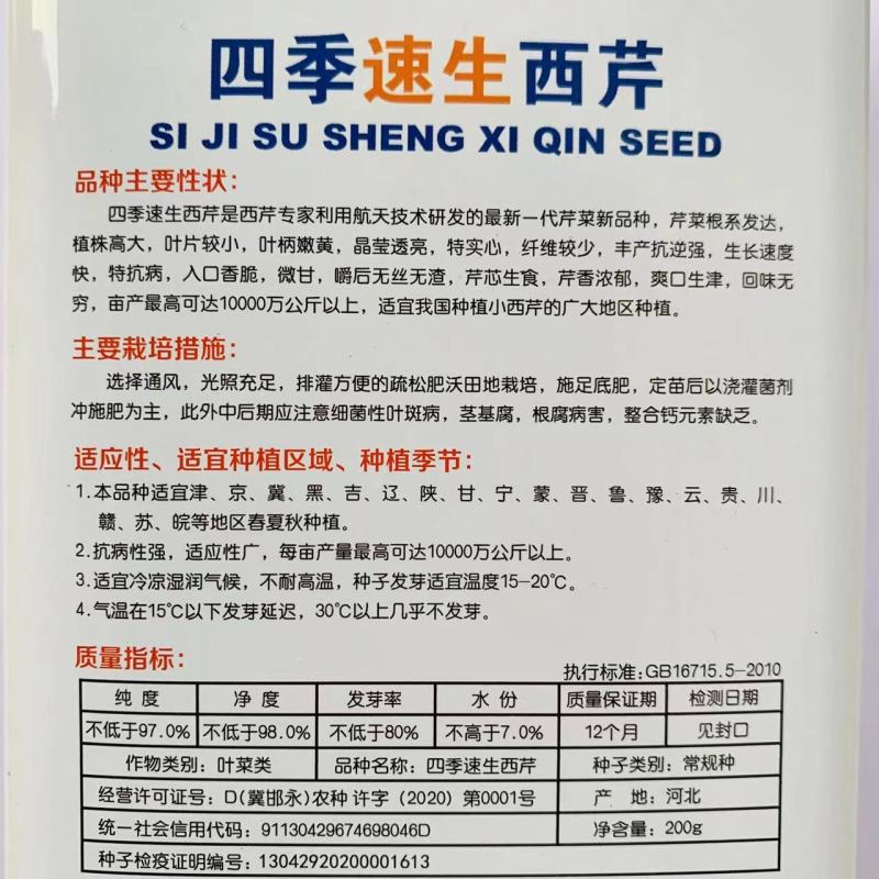 速生四季西芹王种子叶柄黄绿色可做小芹菜栽培抗病西芹芹菜种
