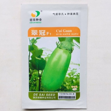 翠冠绿茄子种子极早熟抗病性强色泽油绿卵圆形茄子种籽