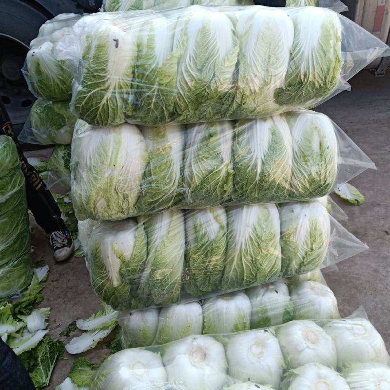 云南大白菜，产地直发，品质保证