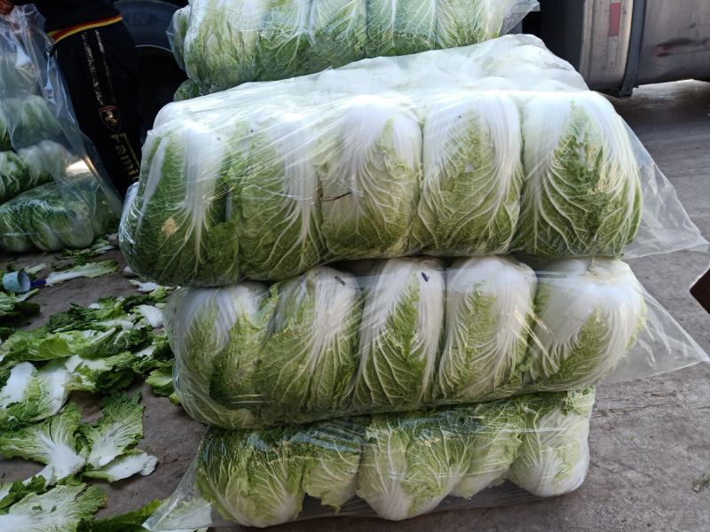 云南大白菜，产地直发，品质保证
