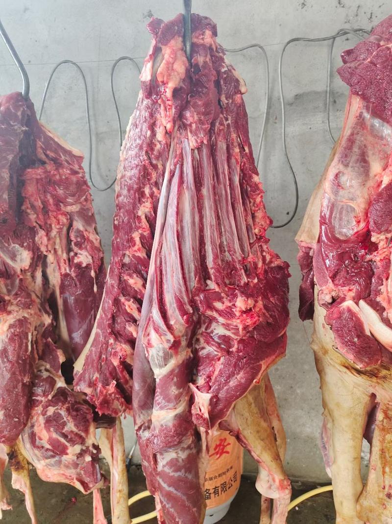 新鲜驴肉带皮驴肉，厂家直供，量大从优，品质保证