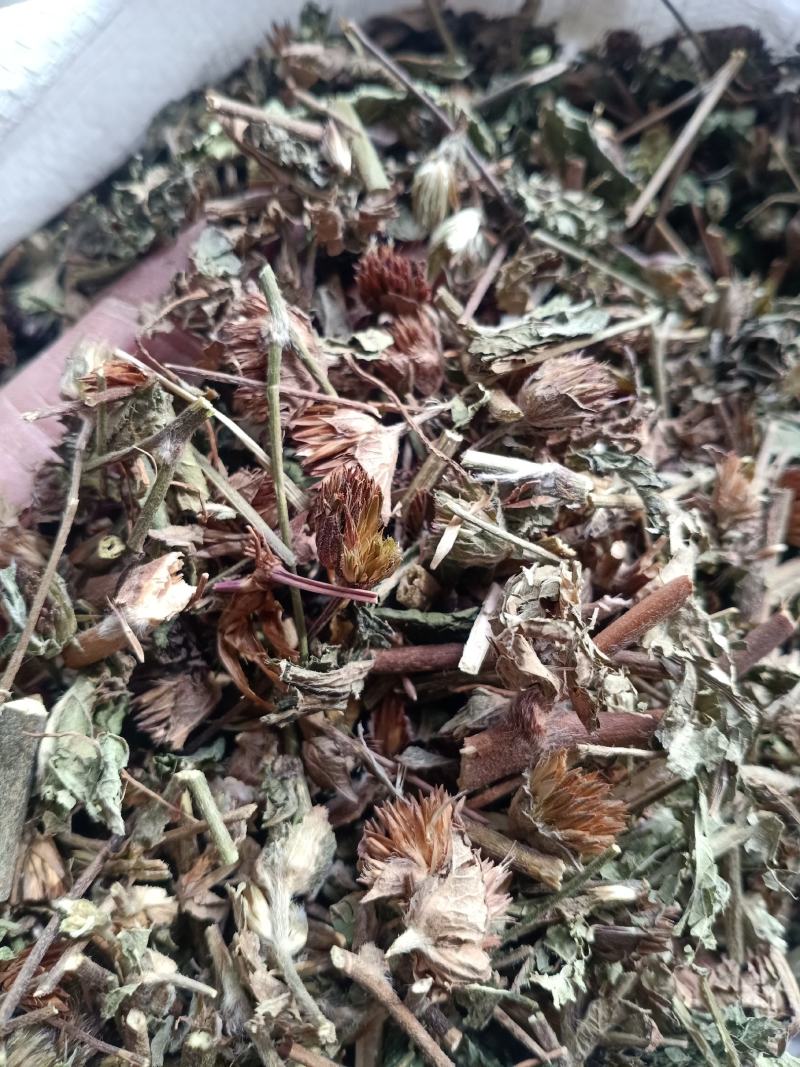 地胆草，地胆头野生新货质量保证，经营各种中药材！