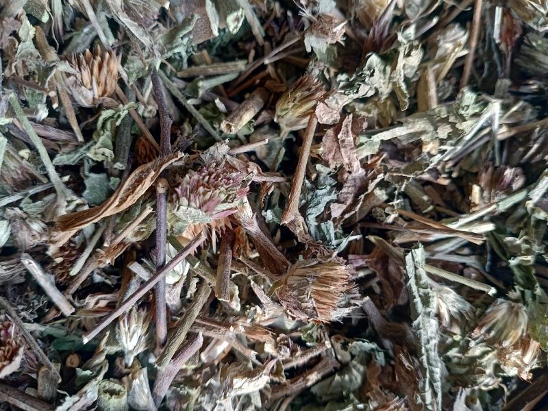 地胆草，地胆头野生新货质量保证，经营各种中药材！