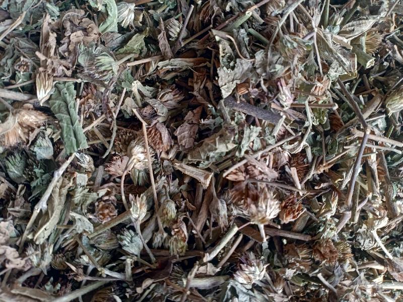 地胆草，地胆头野生新货质量保证，经营各种中药材！
