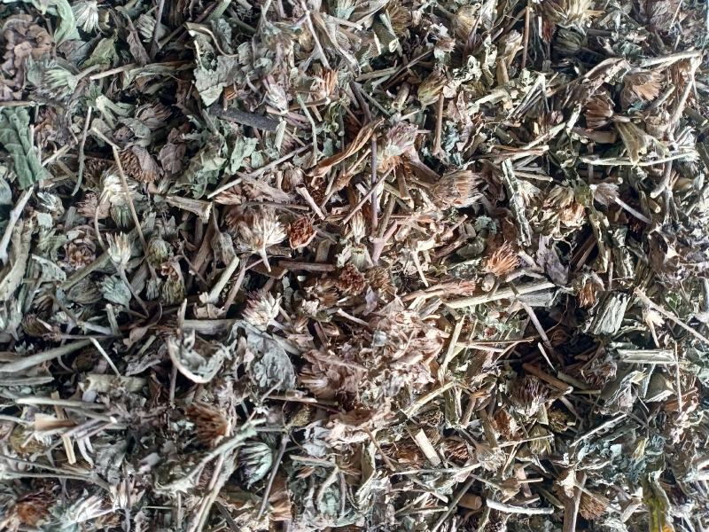 地胆草，地胆头野生新货质量保证，经营各种中药材！