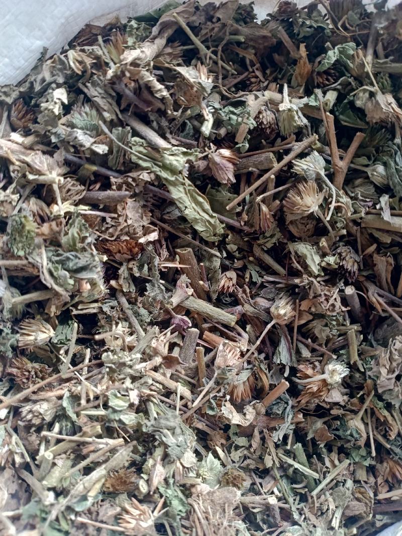 地胆草，地胆头野生新货质量保证，经营各种中药材！