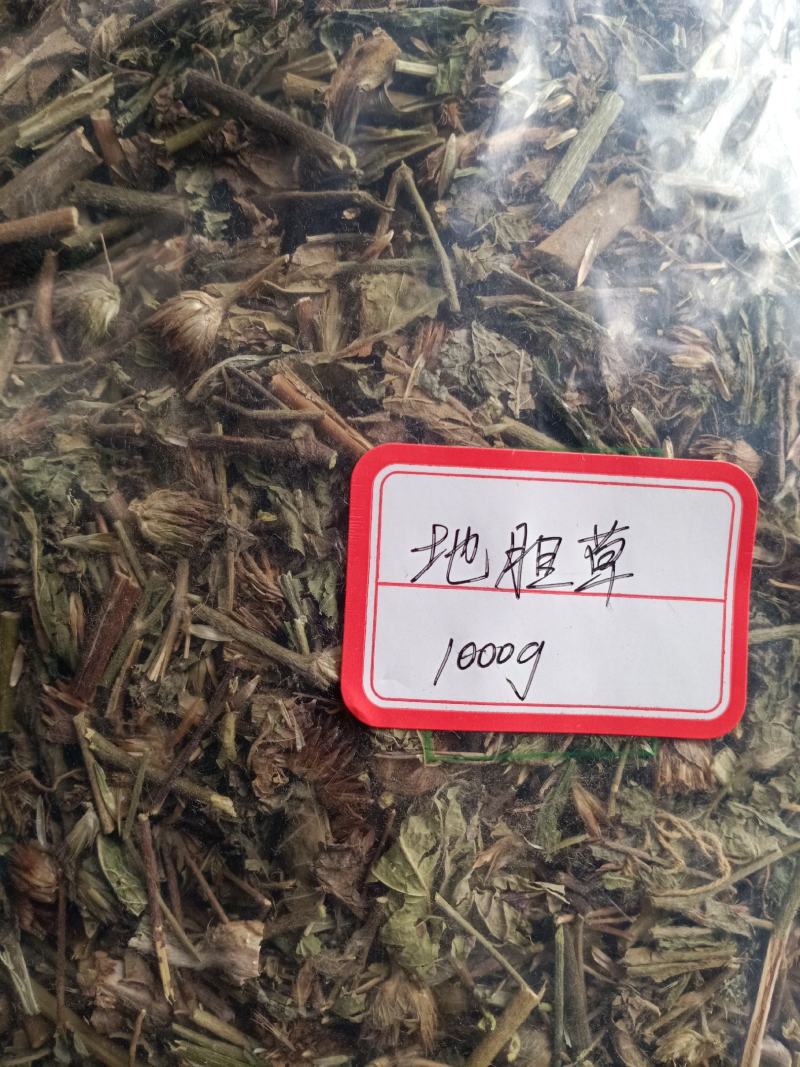 地胆草，地胆头野生新货质量保证，经营各种中药材！