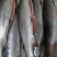 大量供应三文鱼整条刺身日料寿司可免费开片货源充足