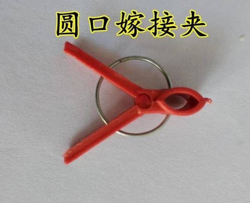 嫁接夹子西瓜茄子黄瓜蟹爪兰嫁接专用夹子平口圆口蔬菜瓜果