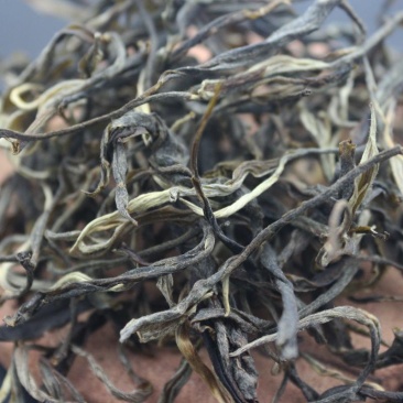 古树茶