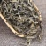 古树茶