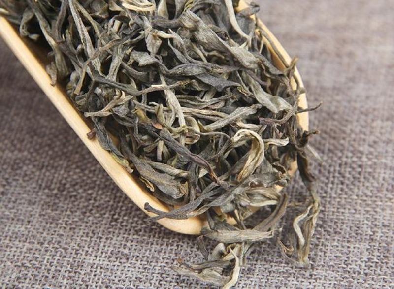 古树茶